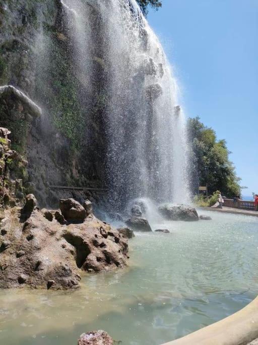 Joli Appartement Port De Nice Dış mekan fotoğraf