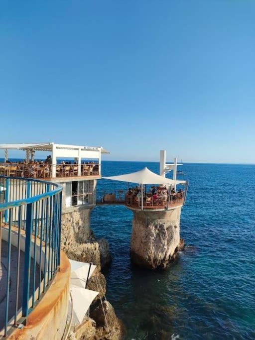 Joli Appartement Port De Nice Dış mekan fotoğraf